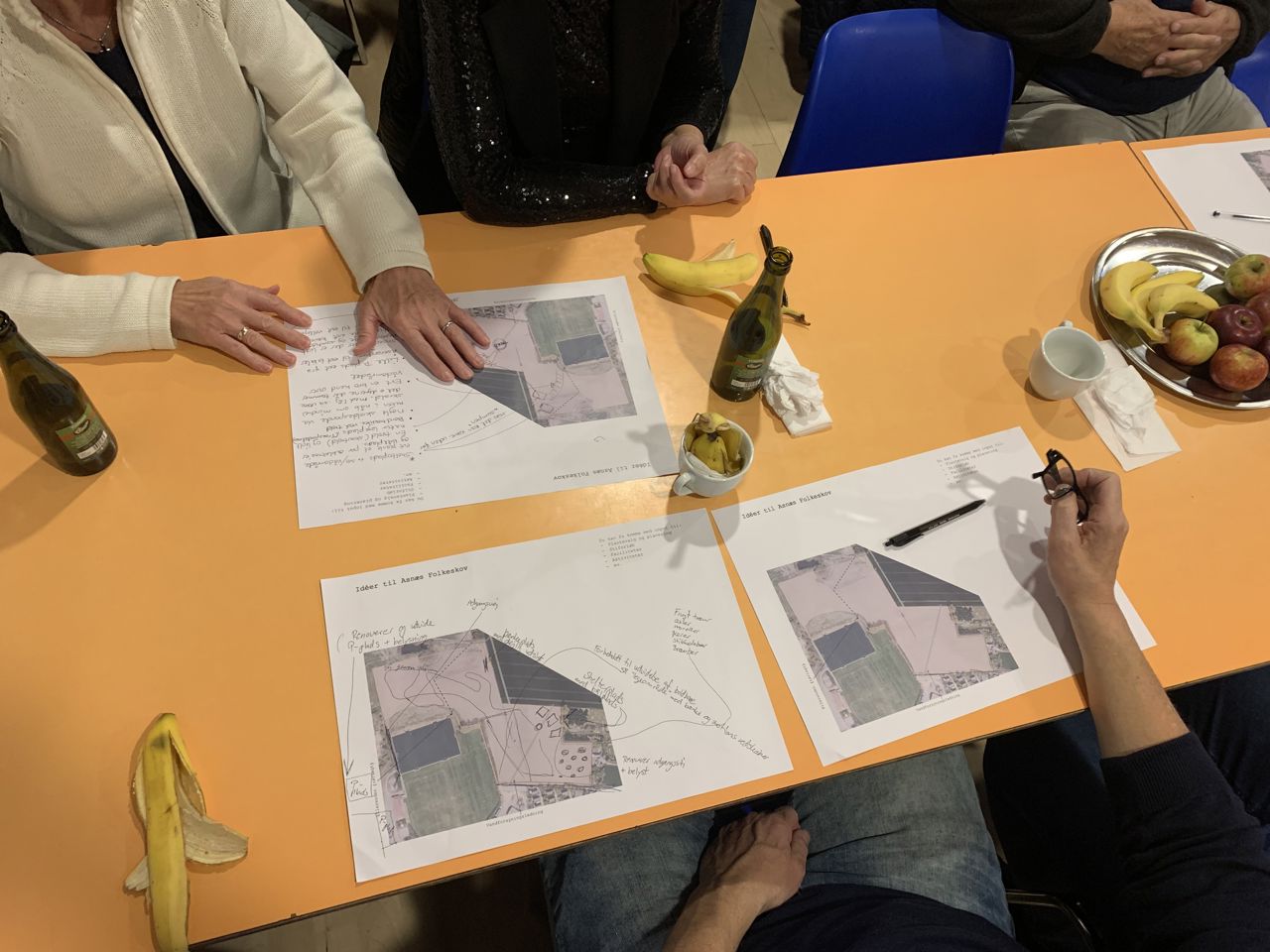 Workshop Asnæs Folkeskov skovrejsning