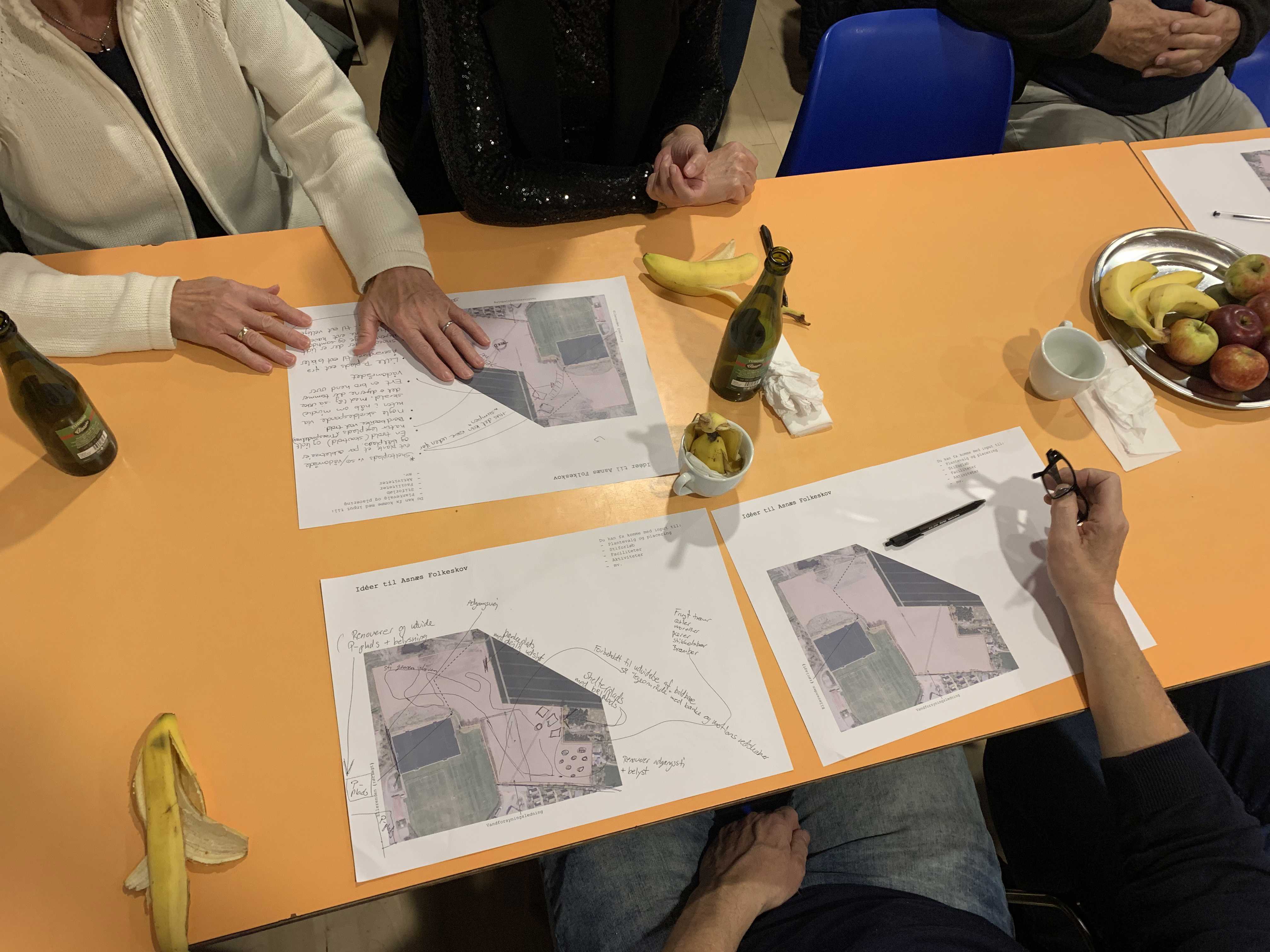 Workshop Asnæs Folkeskov skovrejsning