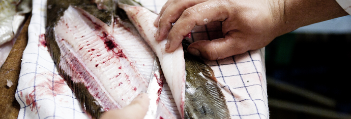 Udskæring af rå fisk