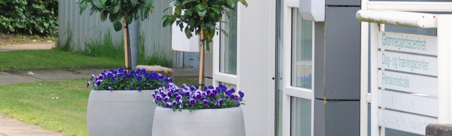 Indgang Grønnegården