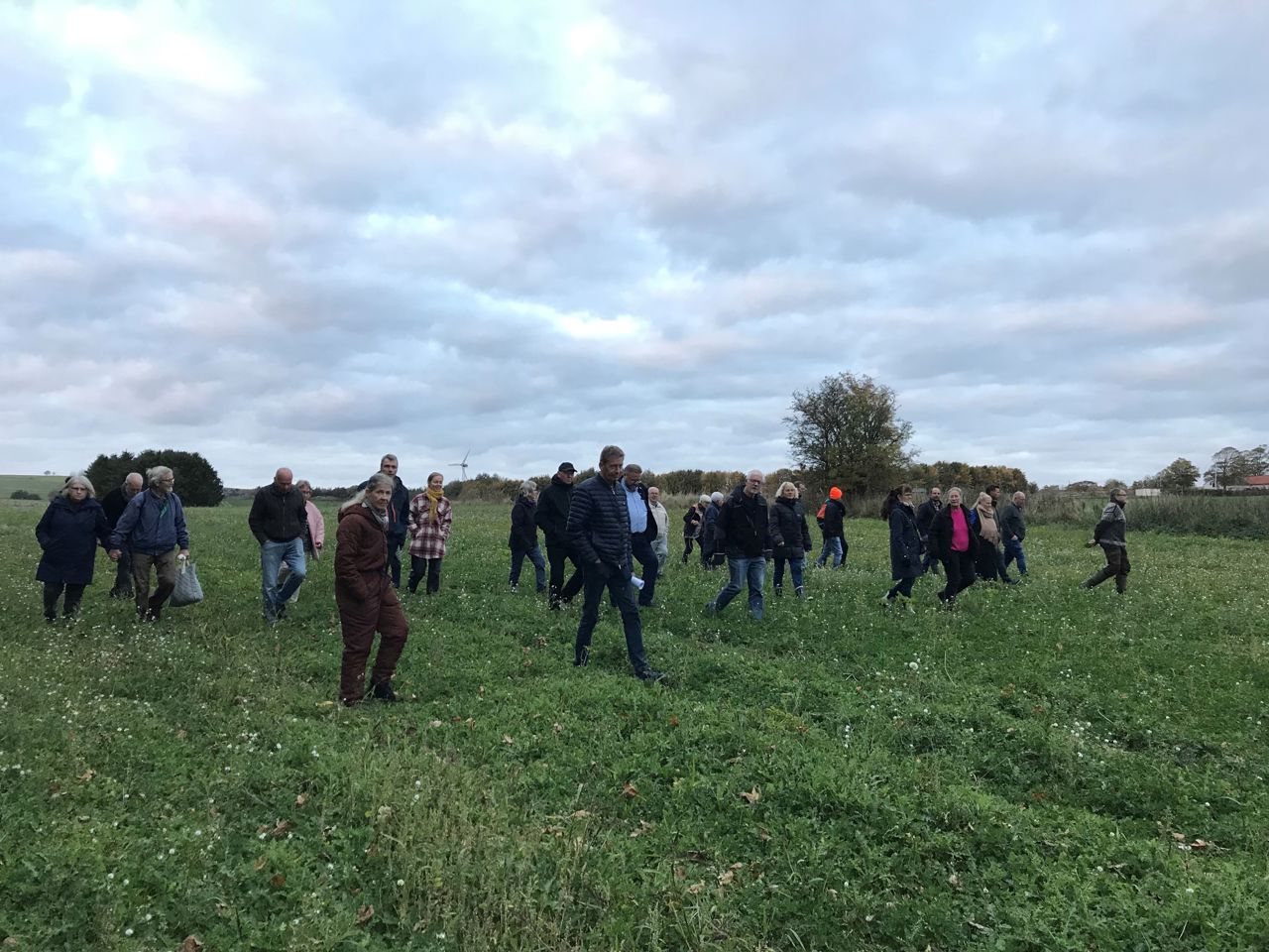 markvandring skovrejsning